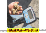 اکسترا ۷۰۵ | ۷۰۵ X-TERRA
