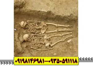 وجود استخوان در گنج یابی