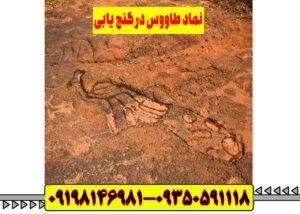 نماد طاووس در گنج یابی