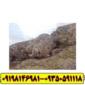 نماد لاکپشت در دفینه یابی