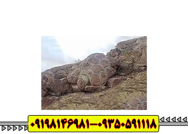 نماد لاکپشت در دفینه یابی