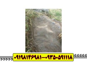 نماد لاکپشت در دفینه یابی