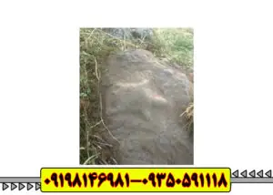 نماد لاکپشت در دفینه یابی