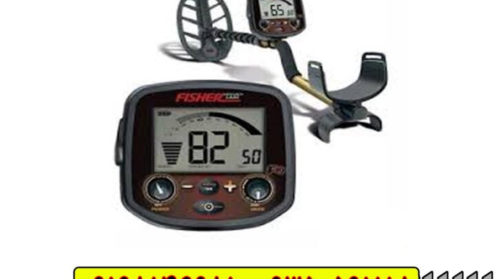 فلزیاب فیشر F19