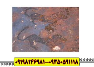 نماد پلنگ در دفینه یابی