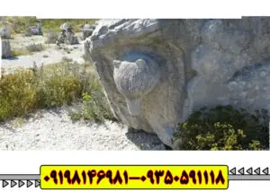 نماد خرس در گنج یابی