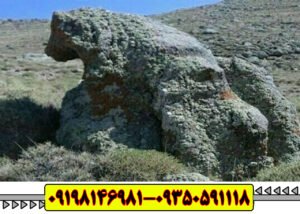 نماد خرس در گنج یابی