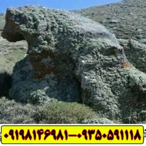 نماد خرس در گنج یابی