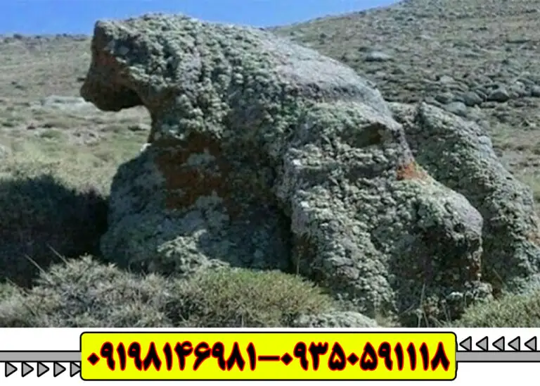 نماد خرس در گنج یابی