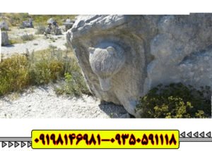 نماد خرس در گنج یابی