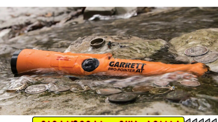 Garrett Pro-Pointer AT